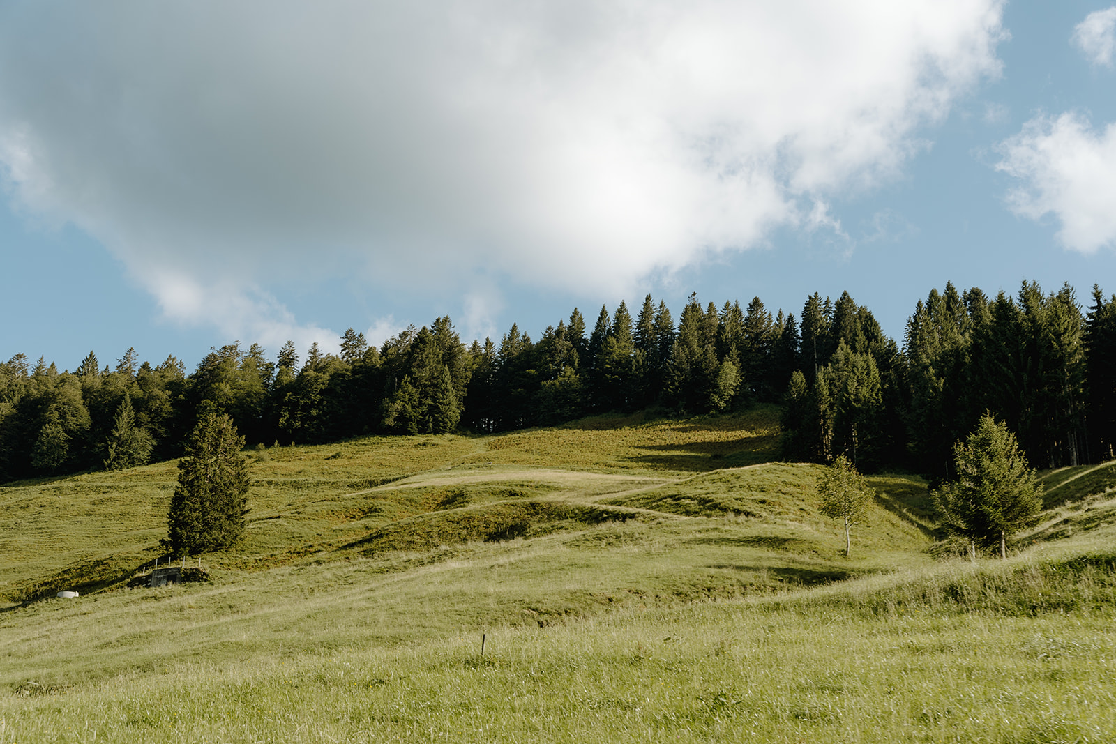 Vorsäß Bild 6